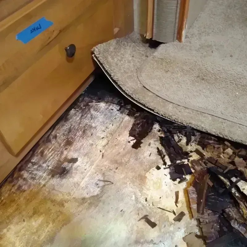 Wood Floor Water Damage in Windsor, CA